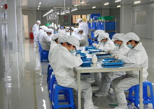 为何电子厂偏爱低学历员工？揭秘书单不背的多重考量